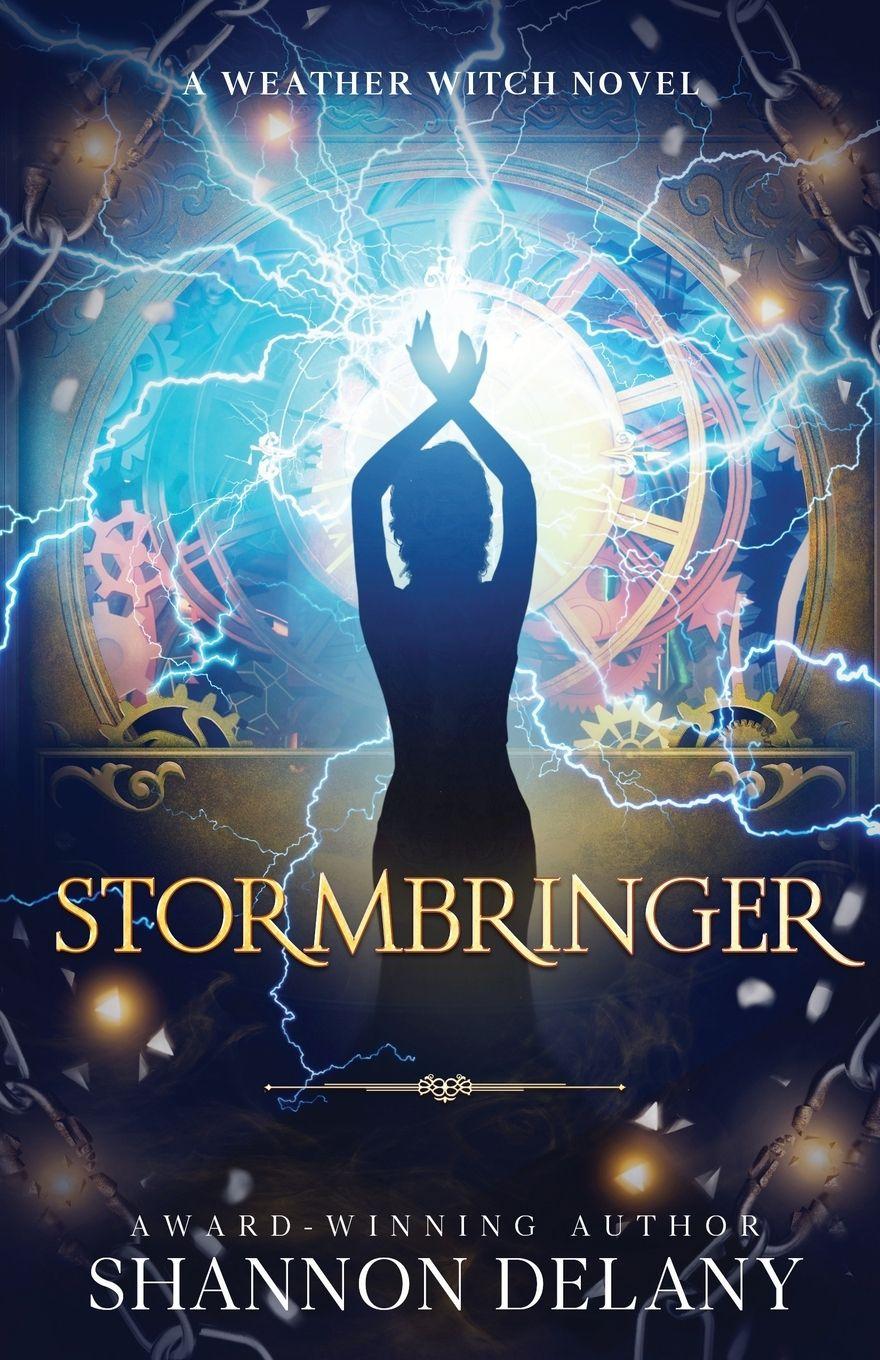 Kniha Stormbringer Shannon Delany