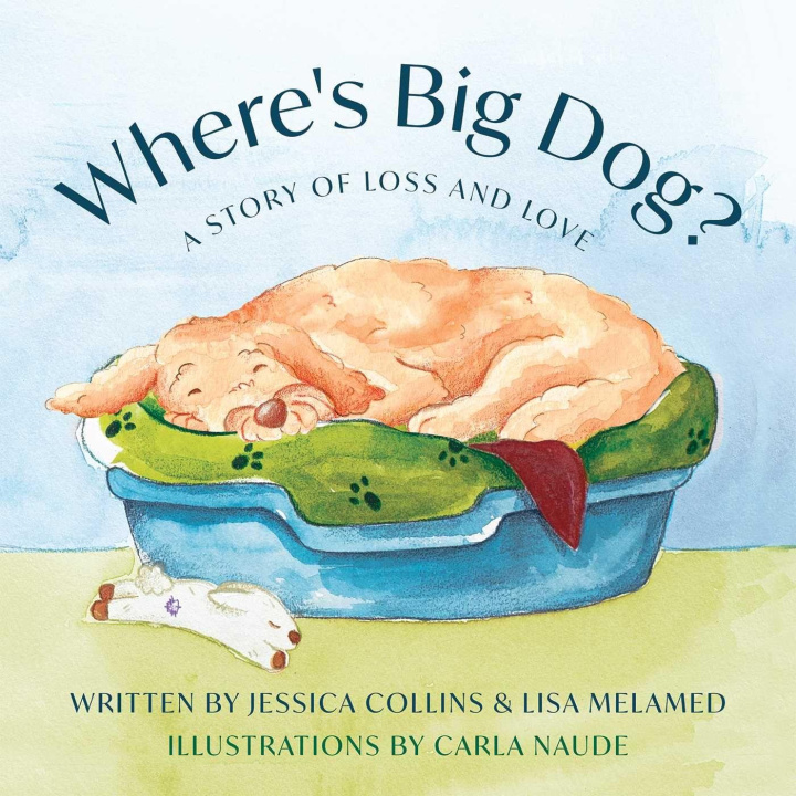 Kniha Where's Big Dog? Lisa Melamed