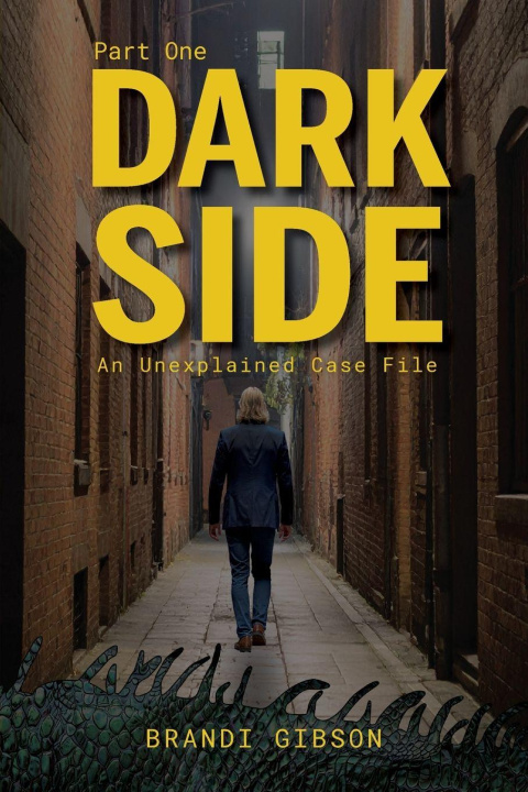 Kniha Dark Side Part One Brandi Gibson