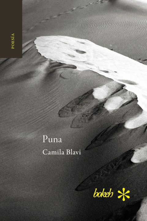 Livro Puna Camila Blavi