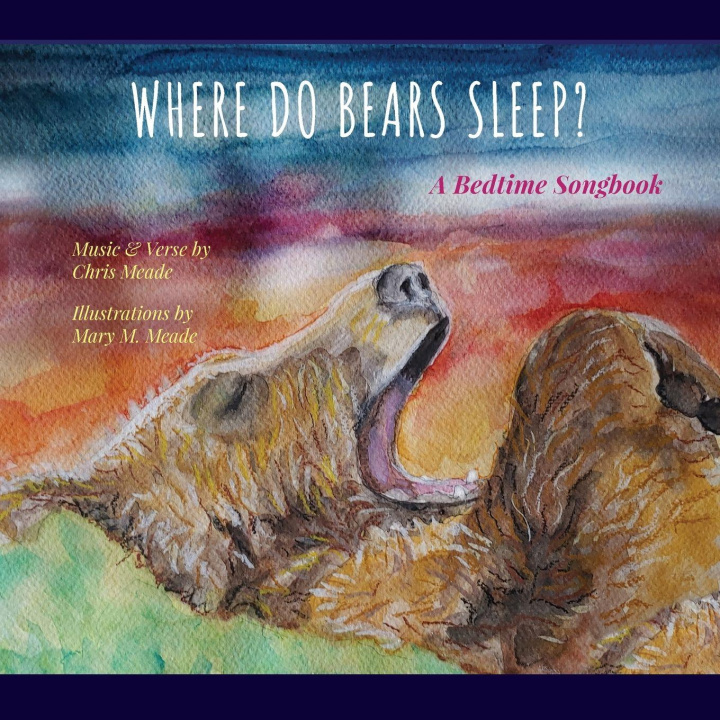 Boek Where Do Bears Sleep? Mary M Meade