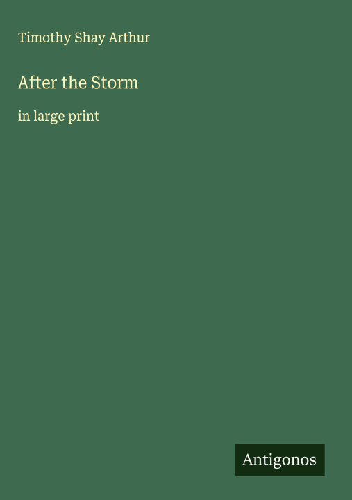 Kniha After the Storm 