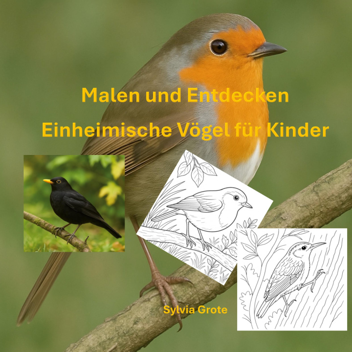 Kniha Malen und Entdecken Sylvia Grote
