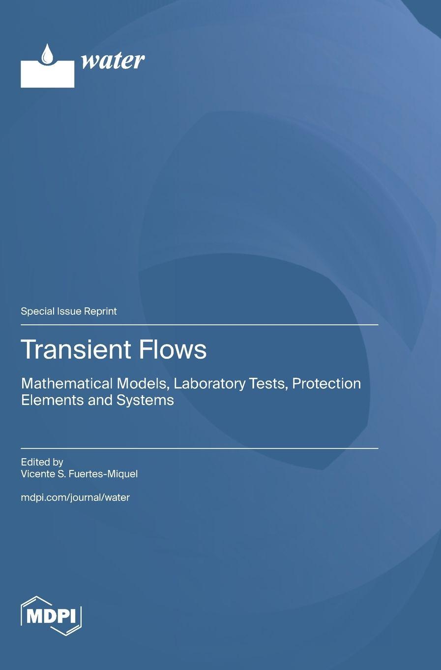 Kniha Transient Flows Vicente S. Fuertes-Miquel