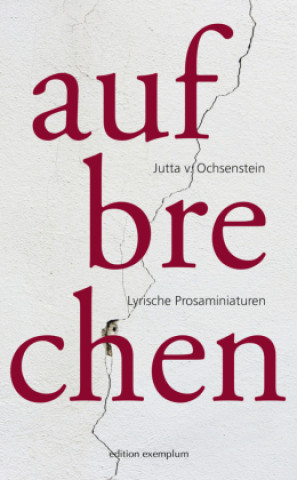 Kniha Aufbrechen Jutta v. Ochsenstein