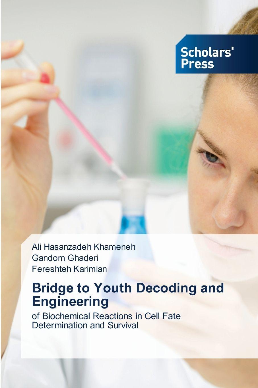 Kniha Bridge to Youth Decoding and Engineering Gandom Ghaderi