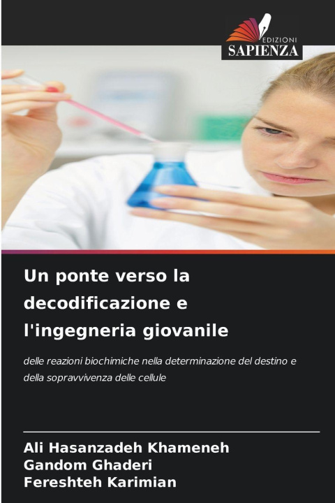 Kniha Un ponte verso la decodificazione e l'ingegneria giovanile Gandom Ghaderi