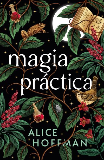 Kniha MAGIA PRACTICA Alice Hoffman