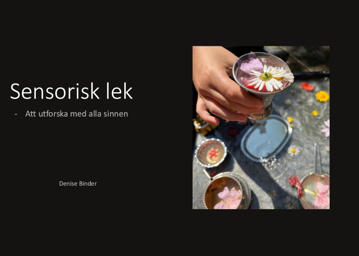 Kniha Sensorisk lek 