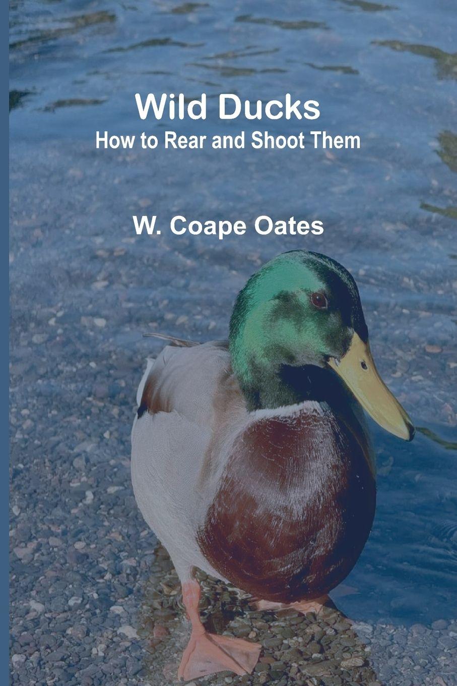 Kniha Wild Ducks W. Coape Oates