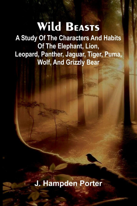 Kniha Wild beasts J. Hampden Porter