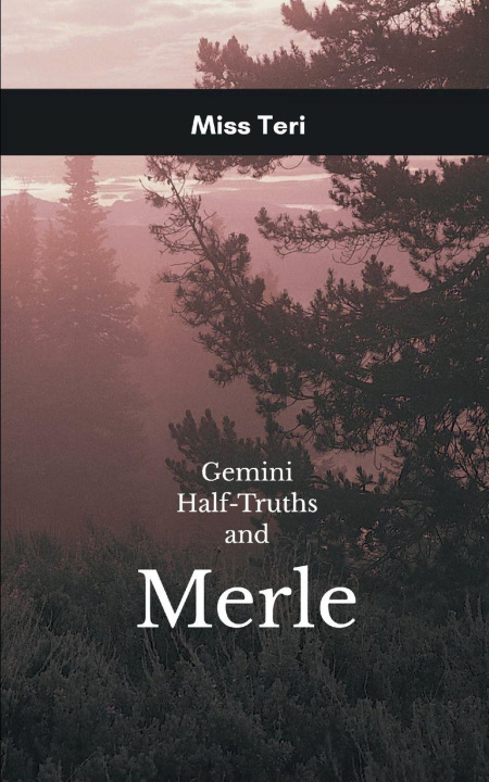 Knjiga Gemini Half Truths Miss Teri