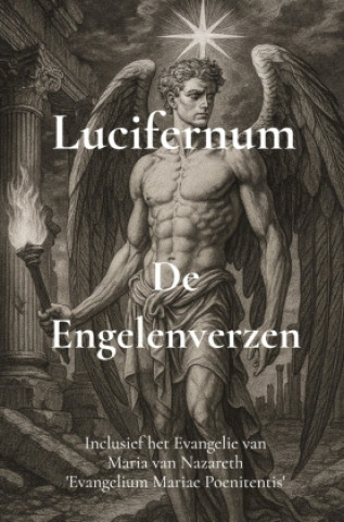 Book De Engelenverzen Rubèn Cottenjé