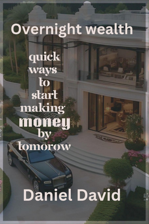 Kniha Overnight wealth Daniel David