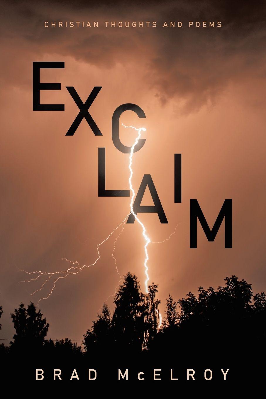 Kniha EXCLAIM Brad McElroy