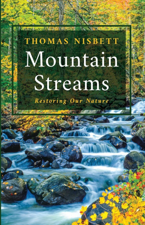 Kniha Mountain Streams Thomas Nisbett