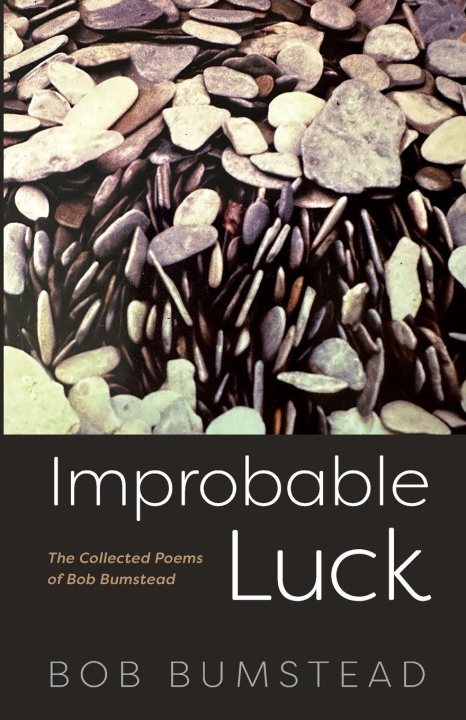 Book Improbable Luck Bob Bumstead