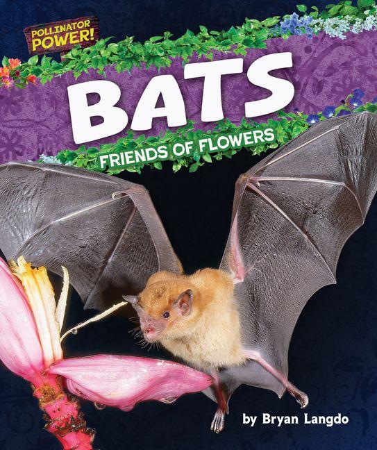 Kniha Bats N/A