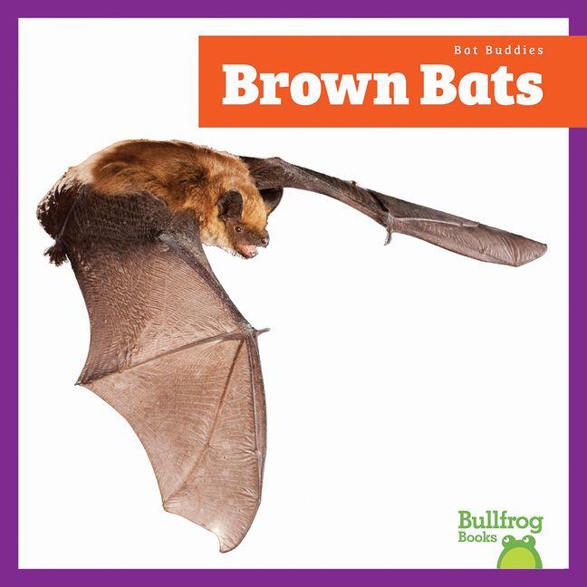 Kniha Brown Bats 