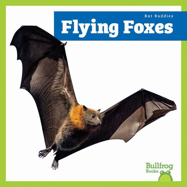 Kniha Flying Foxes 
