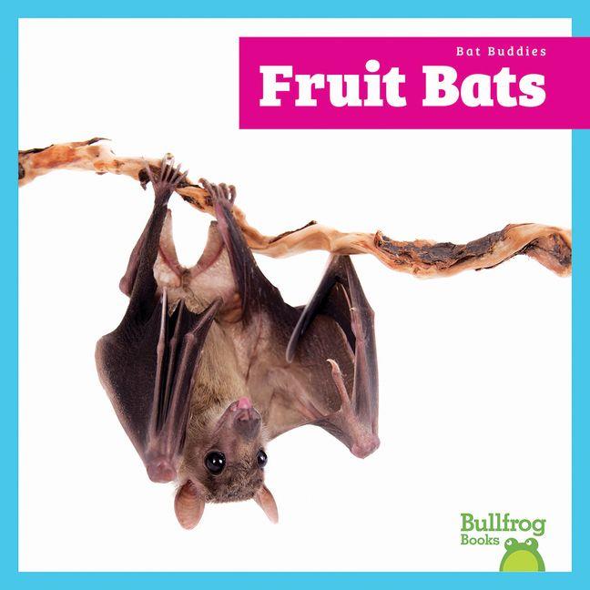 Kniha Fruit Bats 