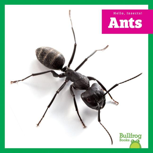 Kniha Ants N/A
