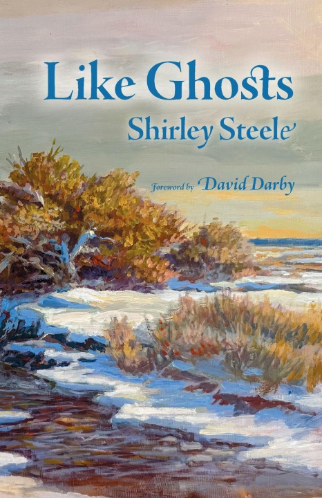 Kniha Like Ghosts Shirley Steele