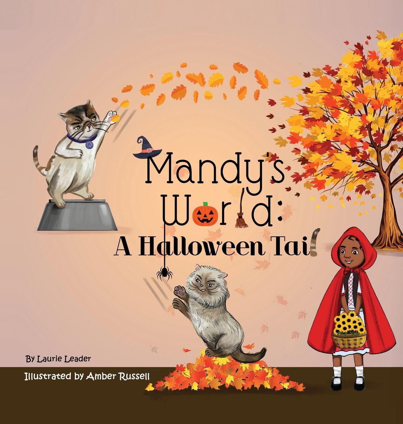 Kniha Mandy's World Laurie Leader