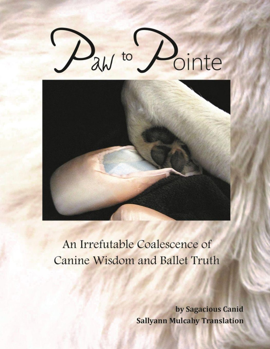 Książka Paw to Pointe Sallyann Mulcahy