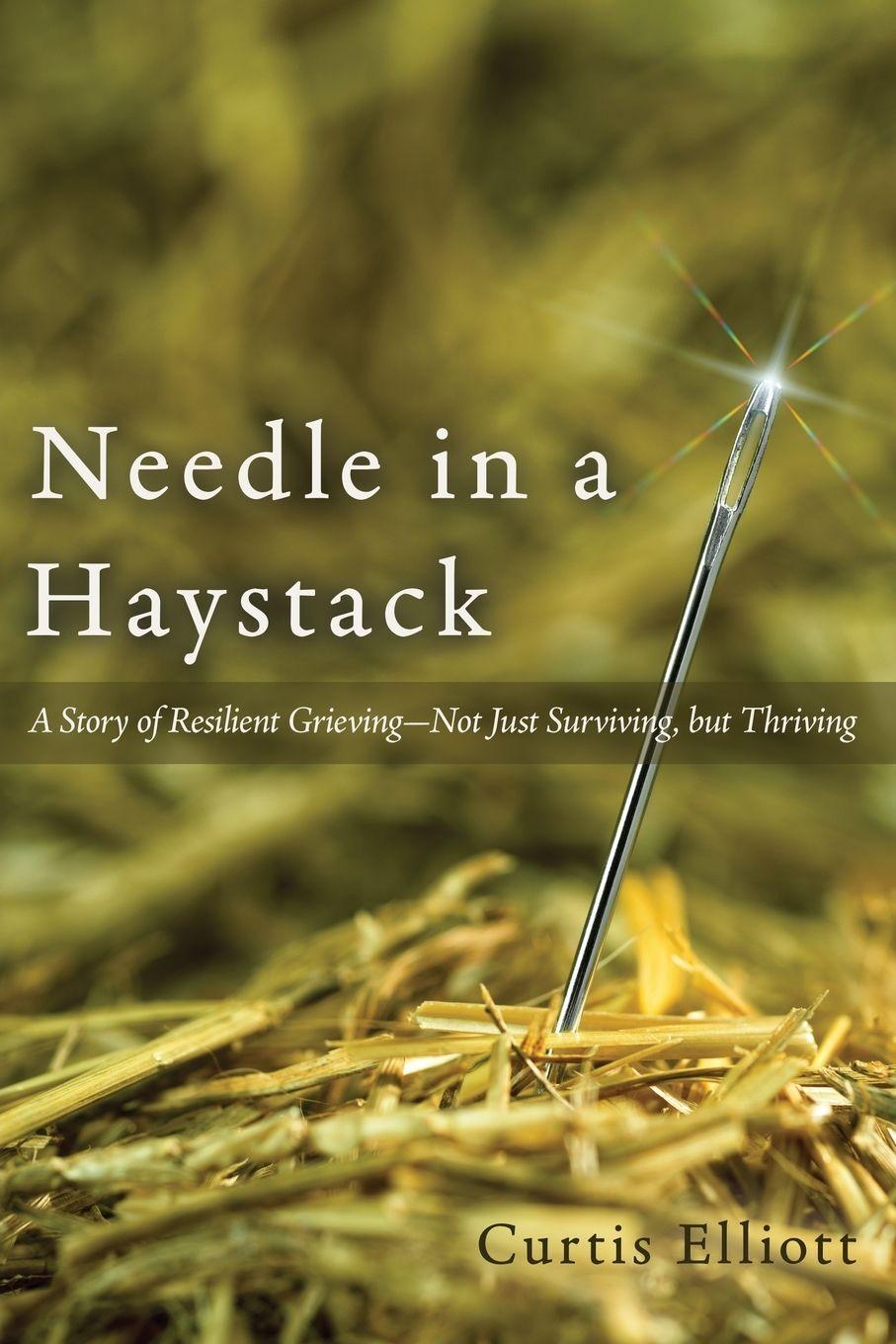 Kniha Needle in a Haystack Curtis Elliott