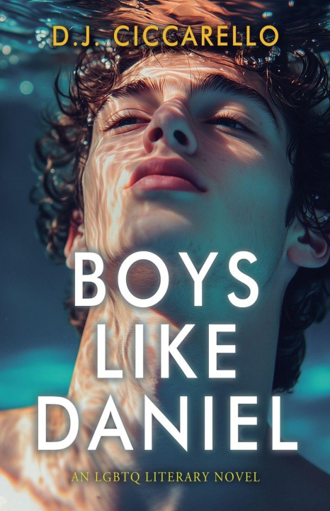 Knjiga Boys Like Daniel D.J. Ciccarello