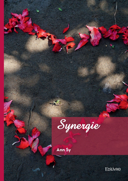 Kniha SYnergie Ann SY