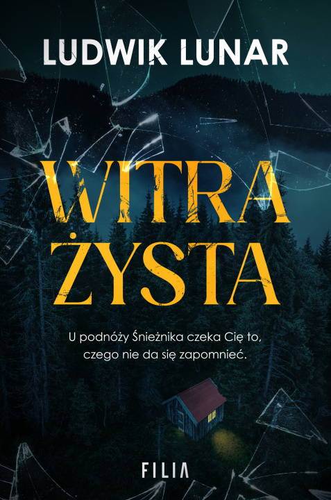 Kniha Witrażysta Ludwik Lunar