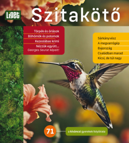 Kniha Szitakötő 2025/71. 