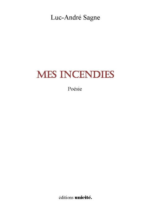 Kniha Mes incendies Sagne