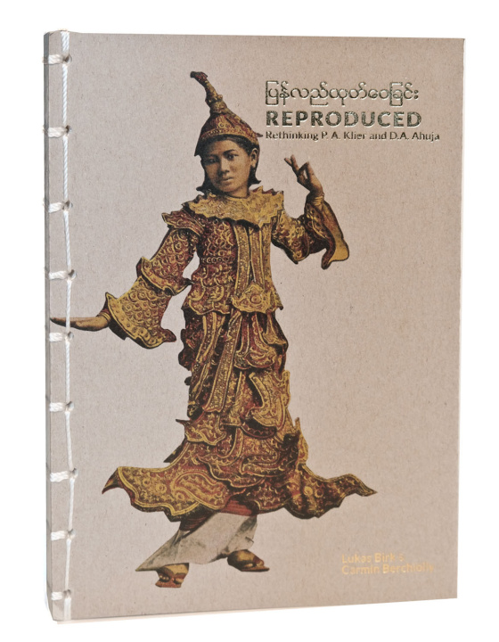 Kniha Reproduced Birk