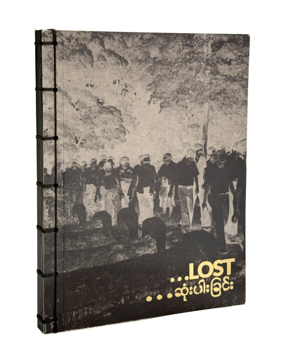 Book Lost Birk