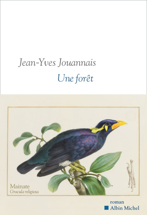 Kniha Une forêt Jean-Yves Jouannais