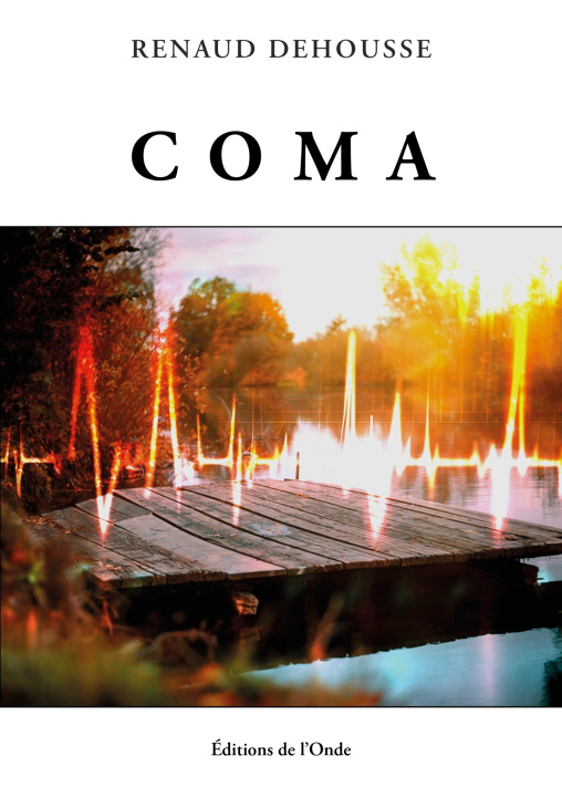 Kniha Coma Renaud Dehousse