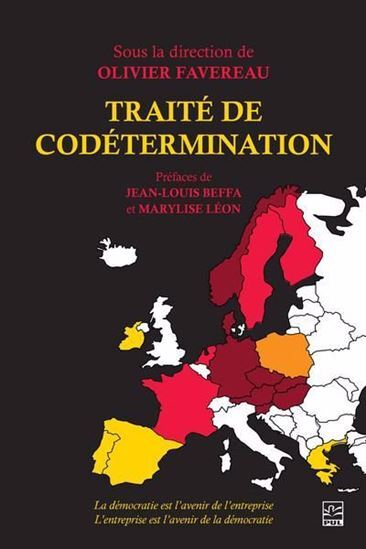 Knjiga TRAITE DE CODETERMINATION FAVEREAU OLIVIER