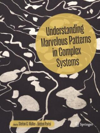 Kniha Understanding Marvelous Patterns in Complex Systems Stefan C. Müller