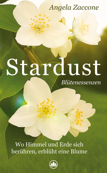 Kniha Stardust Angela Zaccone