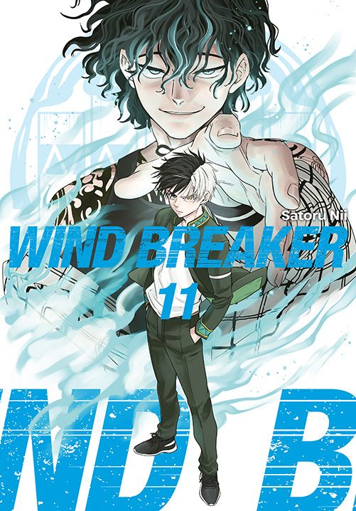 Kniha Wind Breaker. Tom 11 Satoru Nii