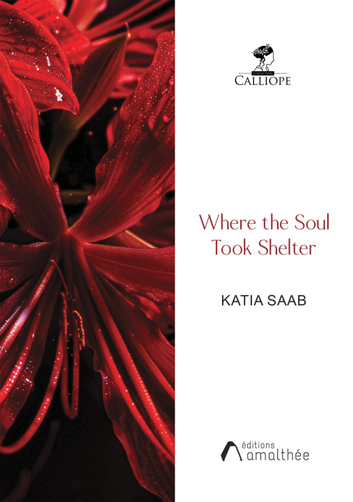 Knjiga Where the Soul Took Shelter Katia SAAB