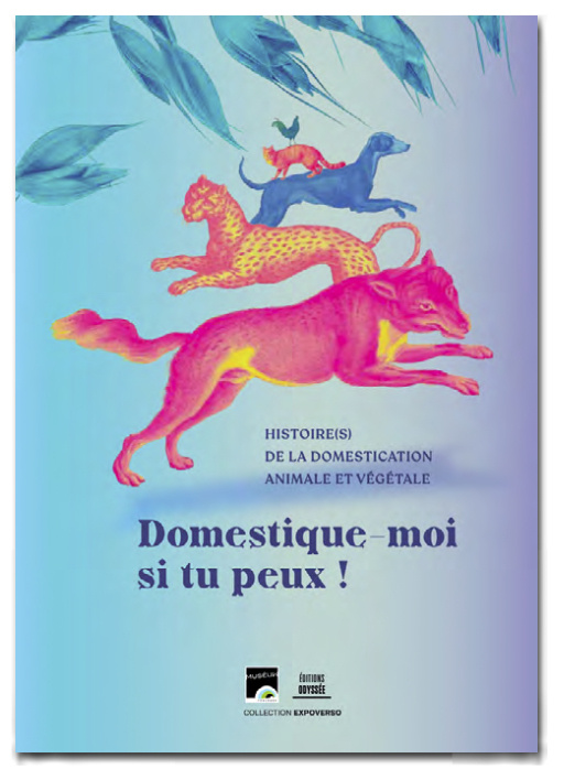 Kniha Domestique-moi si tu peux ! 
