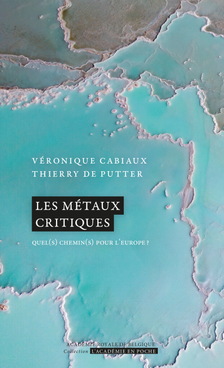 Kniha Les métaux critiques Cabiaux