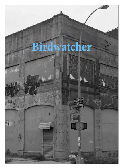 Kniha Birdwatcher Degen