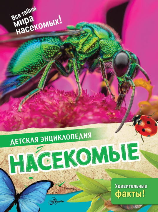 Kniha Насекомые П.Н. Петров