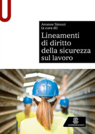 Knjiga Lineamenti di diritto della sicurezza sul lavoro Aronne Strozzi