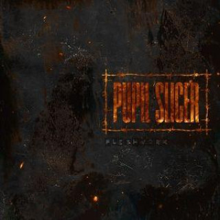 Audio Fleshwork Pupil Slicer